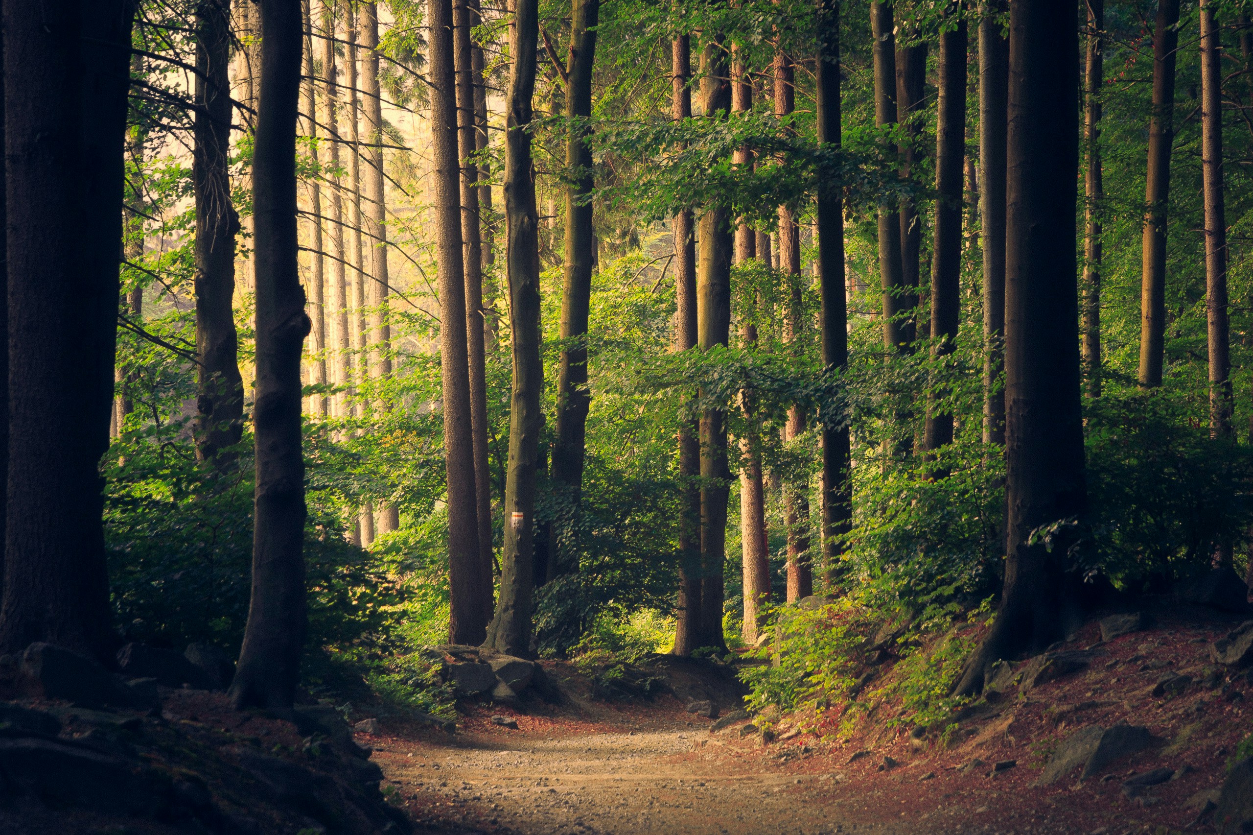 Les prénoms inspirés par la nature